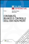 Contabilità, bilancio e controllo degli enti non profit. E-book. Formato PDF ebook