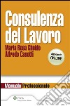 Consulenza del lavoro 2013. E-book. Formato EPUB ebook