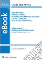 I chiarimenti dell'Agenzia delle Entrate. E-book. Formato PDF