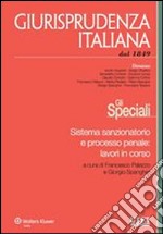 Sistema sanzionatorio e processo penale: lavori in corso. E-book. Formato PDF ebook