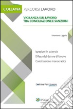Vigilanza sul lavoro: tra conciliazione e sanzioni. E-book. Formato EPUB