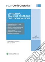 Contabilità, bilancio e controllo degli enti non profit. E-book. Formato PDF ebook