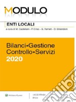 Enti locali - Bilanci, Gestione, Controllo, Servizi 2020. E-book. Formato PDF ebook