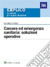 Carcere ed emergenza sanitaria: soluzioni operative. E-book. Formato PDF ebook di Veronica Manca