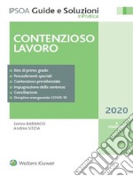 Contenzioso lavoro. E-book. Formato PDF ebook