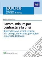 EXPLICO - ebook Lavoro: misure per contrastare la crisi. E-book. Formato PDF ebook