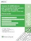 Esame di abilitazione per Consulenti del Lavoro SCHEMI E SCHEDE. E-book. Formato PDF ebook