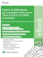 Esame di abilitazione per Consulenti del Lavoro TEMI SVOLTI, SCHEMI E SCHEDE. E-book. Formato PDF ebook