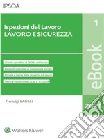 Ispezioni del lavoro - lavoro e sicurezza. E-book. Formato PDF ebook