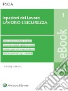 Ispezioni del lavoro - lavoro e sicurezza. E-book. Formato PDF ebook