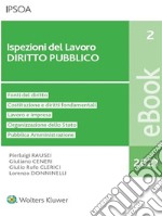 Ispezioni del lavoro - diritto pubblico. E-book. Formato PDF