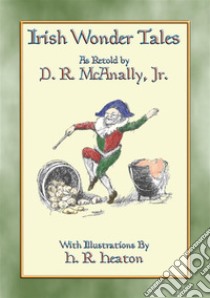 IRISH WONDER TALES - 14 Enchanting tales from the Emerald Isle: 14 Enchanting Celtic Children's Stories. E-book. Formato EPUB ebook di Anon E. Mouse