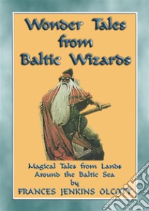 WONDER TALES from BALTIC WIZARDS - 41 tales from the North and East Baltic Sea: 41 children's stories from the Northern arm of the Amber Road. E-book. Formato Mobipocket ebook di Anon E. Mouse