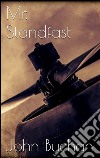 Mr. Standfast. E-book. Formato Mobipocket ebook