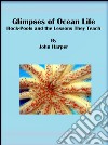 Glimpses of Ocean Life: Rock-Pools and the Lessons They Teach  . E-book. Formato EPUB ebook