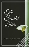 The scarlet letter. E-book. Formato Mobipocket ebook