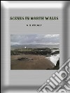 Scenes in North Wales. E-book. Formato EPUB ebook di G. N. Wright