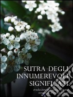 Sutra degli innumerevoli significati. E-book. Formato PDF ebook