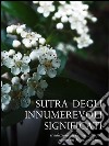 Sutra degli innumerevoli significati. E-book. Formato EPUB ebook