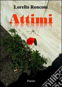 Attimi. Tra meridiani e paralleli. E-book. Formato Mobipocket ebook