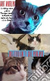 Quattro gatti che parlano, di  Mat Marlin. E-book. Formato EPUB ebook