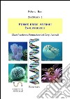 Forme degli Animali INVERTEBRATI: Classificazione e Formazione dei Corpi Animali. E-book. Formato EPUB ebook