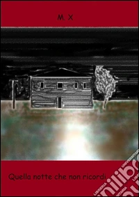 Quella notte che non ricordi. E-book. Formato Mobipocket ebook