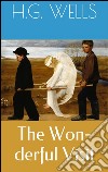 The wonderful visit. E-book. Formato EPUB ebook