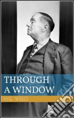 Through a window. E-book. Formato EPUB ebook