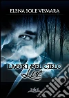 Ladri del cielo. Luc. E-book. Formato EPUB ebook di Elena Sole Vismara
