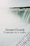 Cammino tra le ombre. E-book. Formato EPUB ebook di Giovanni Cenacchi