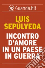 Incontro d'amore in un paese in guerra. E-book. Formato EPUB ebook