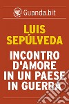 Incontro d'amore in un paese in guerra. E-book. Formato EPUB ebook