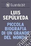 Piccola biografia di un grande del mondo. E-book. Formato EPUB ebook