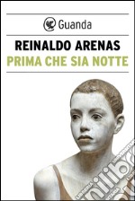 Prima che sia notte. E-book. Formato EPUB