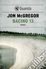 Bacino 13. E-book. Formato PDF