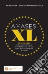 Amases XL: Quarant’anni di storia dell'associazione per la matematica applicata alle scienze economiche e sociali. E-book. Formato PDF ebook