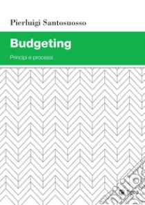 Budgeting: Principi e processi. E-book. Formato PDF ebook di Pierluigi Santosuosso