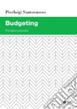 Budgeting: Principi e processi. E-book. Formato PDF ebook