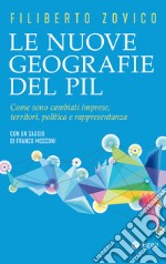 Le nuove geografie del PIL: Come sono cambiati imprese, territori, politica e rappresentanza. E-book. Formato EPUB