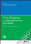 Crisi d'impresa e ristrutturazione del debito: Procedure, attori, best practice. E-book. Formato EPUB ebook