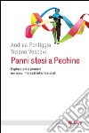 Panni stesi a Pechino: Esploratori e pionieri nei nuovi mercati internazionali. E-book. Formato EPUB ebook