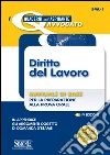 Diritto del lavoro. Manuale di base per la preparazione alla prova orale. E-book. Formato PDF ebook