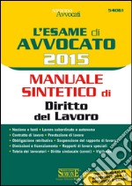 L' esame di avvocato 2015. Manuale sintetico di diritto del lavoro. E-book. Formato PDF ebook