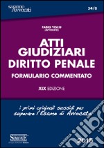 Atti giudiziari. Diritto penale. Formulario commentato. E-book. Formato PDF ebook