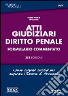 Atti giudiziari. Diritto penale. Formulario commentato. E-book. Formato PDF ebook