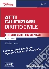 Atti Giudiziari di Diritto Civile: Formulario commentato. E-book. Formato PDF ebook