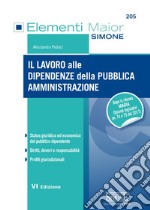 Il lavoro alle dipendenze della Pubblica Amministrazione. E-book. Formato EPUB ebook