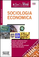 Elementi di sociologia economica. E-book. Formato PDF ebook