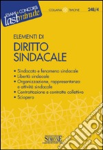 Elementi di Diritto Sindacale: Sindacato e fenomeno sindacale - Libertà sindacale - Organizzazione, rappresentanza e attività sindacale - Contrattazione e controllo collettivo - Sciopero. E-book. Formato PDF ebook